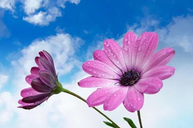 Download This Selection Of Beautiful Wallpapers Facebook