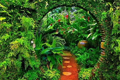 Garden HD Aesthetic Wallpapers Free HD Wallpapers   Download Garden ...