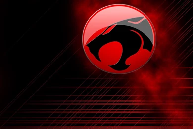 Thundercat Favourites By XX CathTheHedgie Xx On DeviantArt