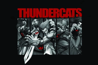 82 Thundercats HD Wallpapers