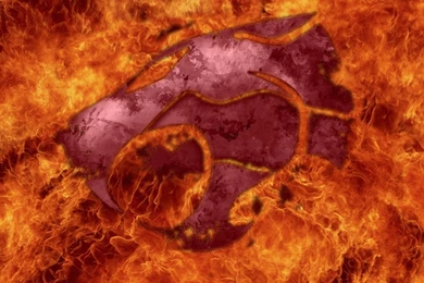 Browsing Other On DeviantArt