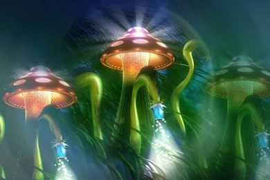 Mushroom Computer Wallpapers, Desktop Backgrounds