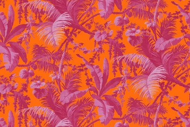 PAMPAS Wallpapers Tangerine / Azalea