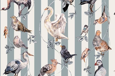 Flights Of Fancy Grey Stripe By House Of Hackney : Wallpapers Direct