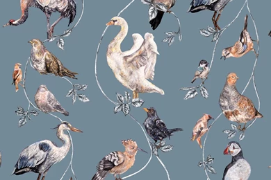 House Of Hackney Wallpapers Collection : Wallpapers Direct