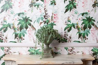 House Of Hackney Wallpapers – Dust Shop & Interior Design ...