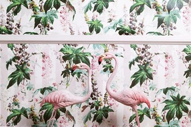 The Latest From House Of Hackney