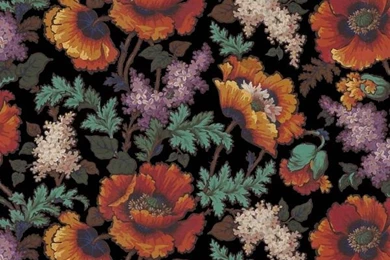House Of Hackney PERSEPHONE Wallpapers Black   De Mooiste Muren