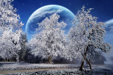 Hd Winter Wallpapers   Desktop Backgrounds