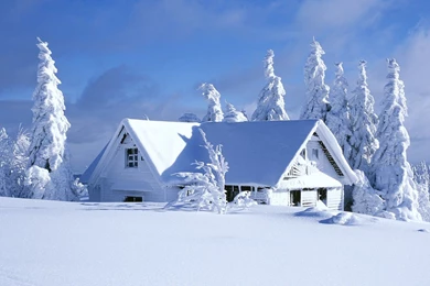 Beautiful Winter Wallpapers In Best Quality   Snow Landscapes At ...