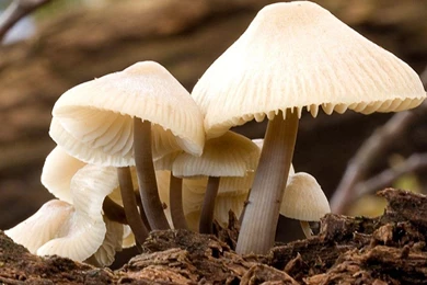 HD Wallpapers HD Wallpapers & High Definition HD Quality Desktop ...