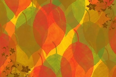 Fall Color Backgrounds Jaidendesigns.com