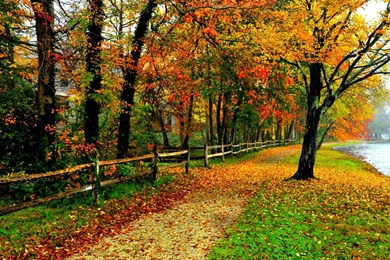 Fall Colors Wallpaper Backgrounds   Wallpapers Cave