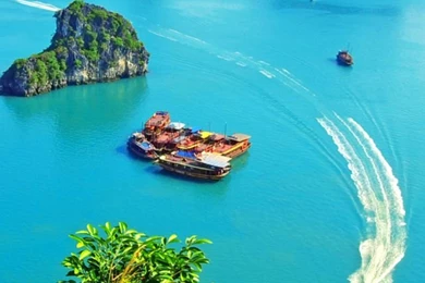 Vietnam Halong Bay 640x1136.jpg
