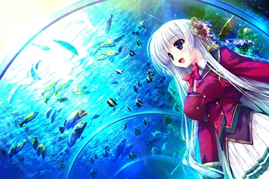 Prism Recollection Fishes Wallpapers