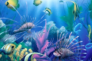 Beautiful Beach Hd Wallpapers (85)