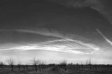 1680x1050 Black And White Skyscape Desktop PC And Mac Wallpapers