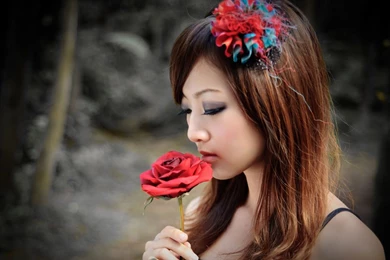 Red Roses Wallpapers In HD