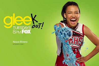 Photo 18 Of 55, Glee