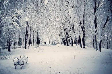 Snowfall Live Wallpapers