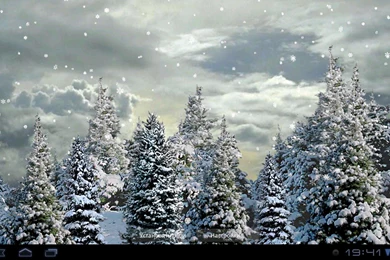 Snowfall Live Wallpapers 2.05 Full   Android скачать