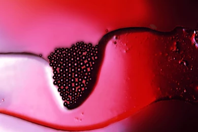 Wallpapers Abstract Sex I Love You Hd Photos Valentines Day ...