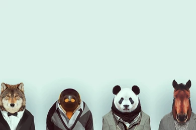 Portrait Computer Wallpapers, Desktop Backgrounds