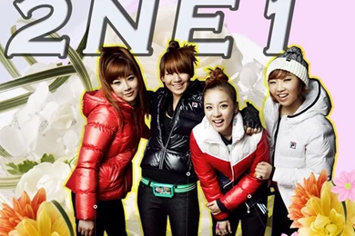 2NE1 Profile   KPop Music