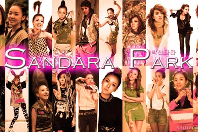 2NE1   2NE1 Wallpapers (32558407)   Fanpop