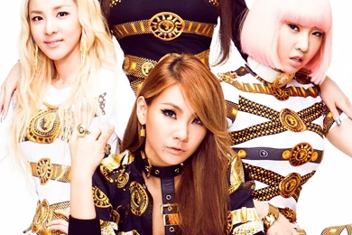 Minzy And 2ne1 Wallpapers Requested By Anon Please...