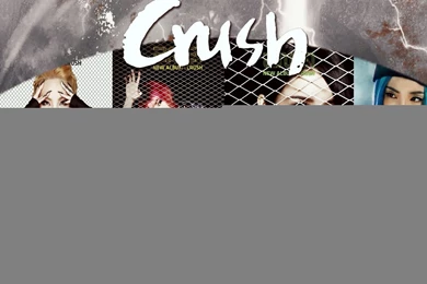 Gallery For   2ne1 Wallpapers 2014 Crush