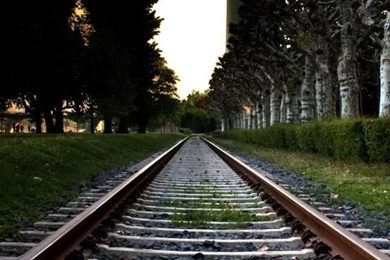 Download iPhone 5 HD Top 50 Wallpapers Collection