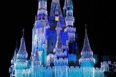 Cinderella Castle Lit Up