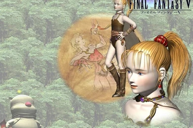 Pirate's Lair: Miscellaneous