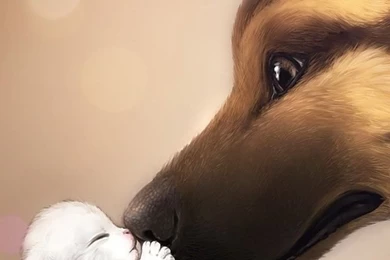 Cute Kiss HD Desktop Wallpapers : Widescreen : High Definition ...