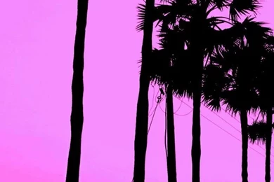 Cute Trees HD Desktop Wallpapers : Widescreen : High Definition ...