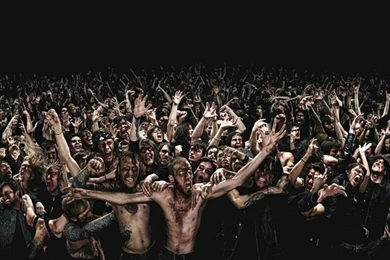 Plants Vs Zombies Hd Wallpapers