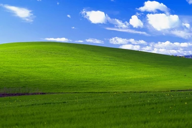 Windows Classic Field   1920x1080   Full HD 16/9   Wallpapers