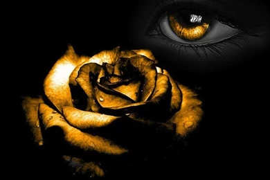 Goldeneye Wallpapers