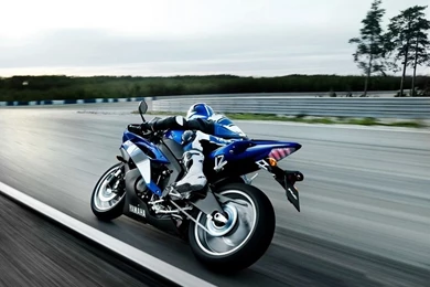 Current Openings — MAG Retail Group