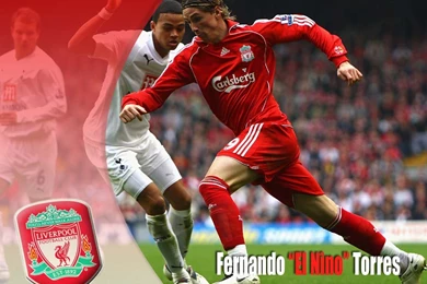 Download Fernando Torres Wallpapers Liverpool Wallpapers Torres ...