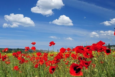 Full Size Wallpapers For Desktop   Wallpapers HD Base