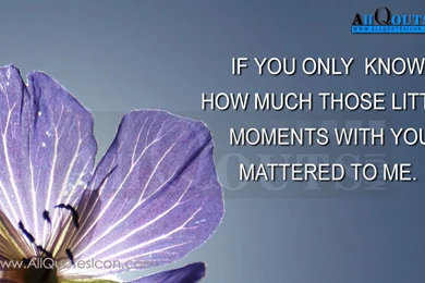 Best Love Quotes In English Wallpapers