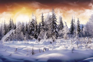 Winter Wonderland Desktop Wallpaper, Winter Wonderland Backgrounds ...