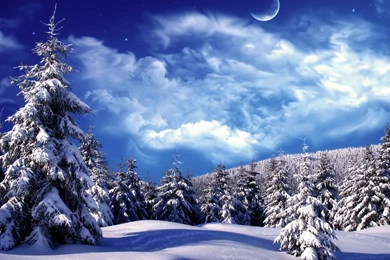 Winter Wonderland Wallpapers & Backgrounds Snow HD Pic