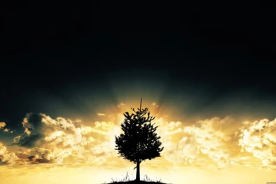 HD Widescreen Landscape Wallpapers