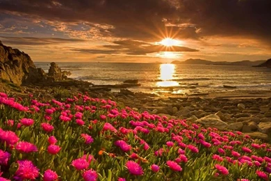 Landscape Wallpapers, Hd Desktop Images, Large Wallpapers, Windows ...