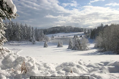 Page 5 Of Best Winter 4K Or HD Wallpapers