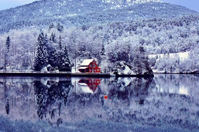 Winter Wonderland Wallpapers   (