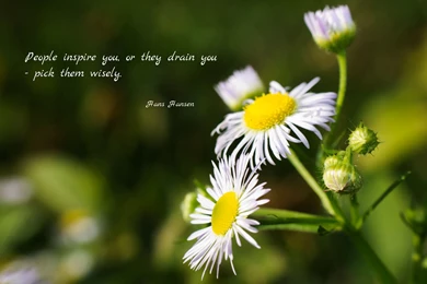 People Inspire You, Or They Drain You... Wallpapers